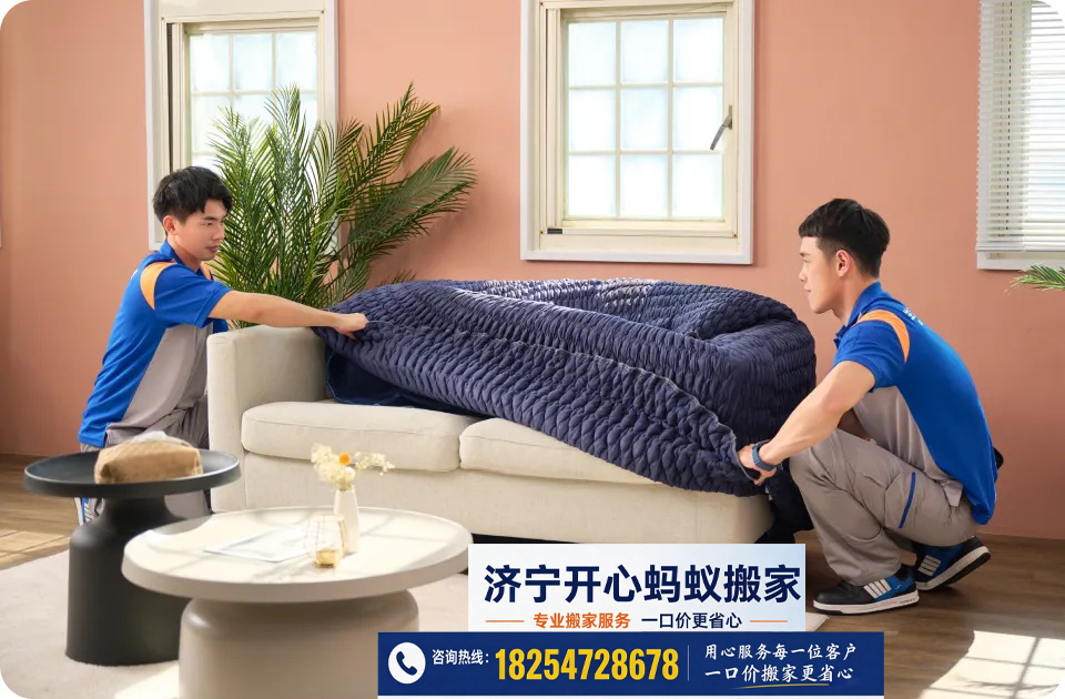 文章插图