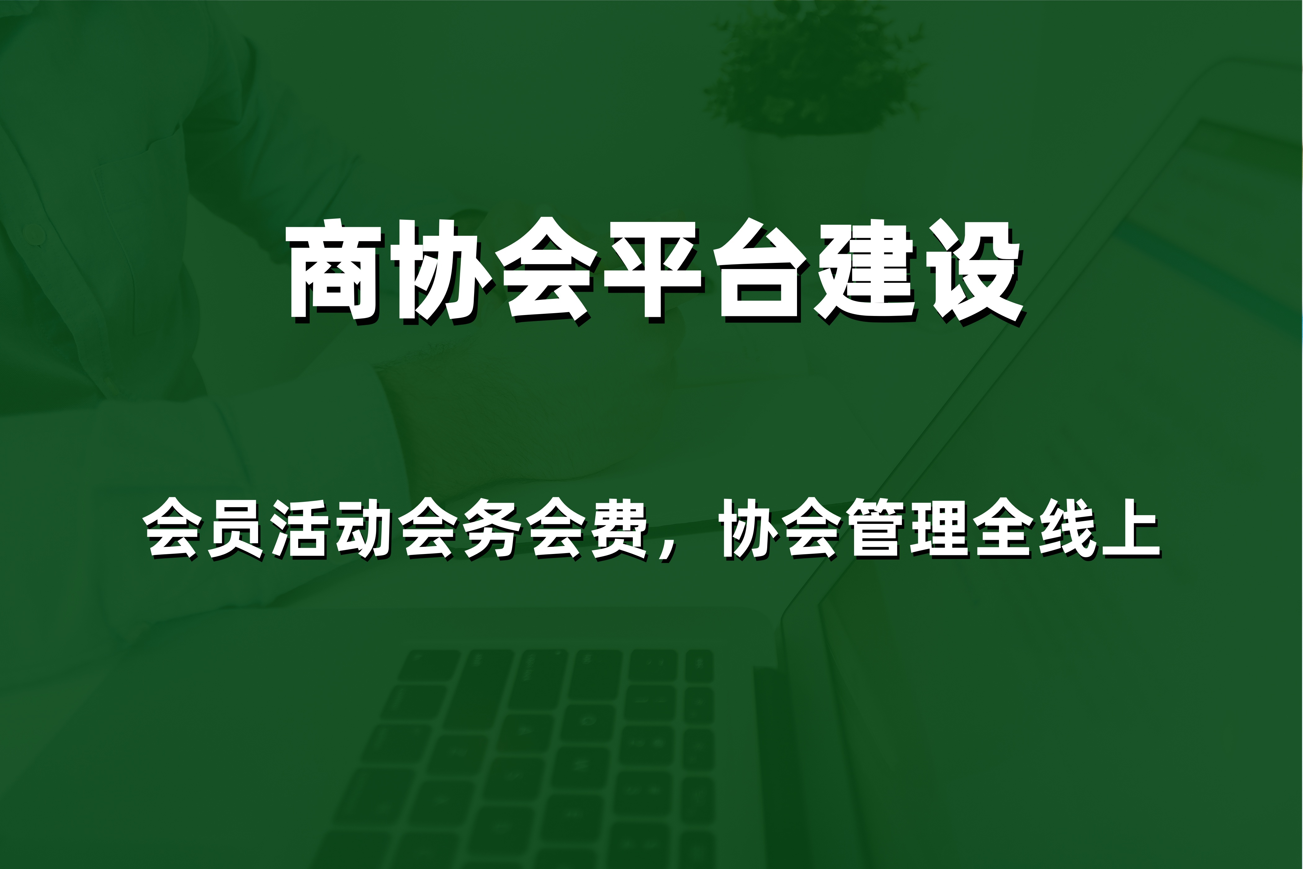 文章插图